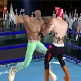Real Boxing Fighting Game